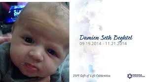 2019 Tribute Gallery