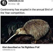 There Is No Better Way To Describe A Bird Funny Tweets Stupid Memes Memes