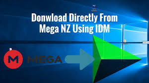 How To Download Mega Nz File Direct Using Idm Internet Download Manage Tutorial Videos Tutorial Learning
