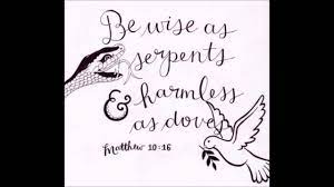Rome and her rats are at the point of battle; Be Wise As Serpents But Gentle As Doves Youtube