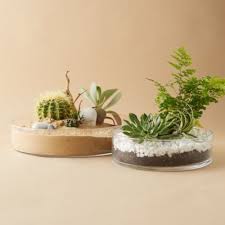 Terrariums Terrarium Supplies Glass Planters Cloches Hanging Terrariums Potting Materials Terrain In 2020 Glass Planter Terrarium Succulent Bowls