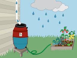 We did not find results for: Why Do You Need A Rain Barrel Or Compost Bin Join Kane County Monday Night To Find Out Kane County Connects