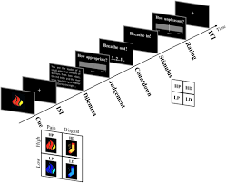 Center on june 3, 2017. Does Inappropriate Behavior Hurt Or Stink The Interplay Between Neural Representations Of Somatic Experiences And Moral Decisions Science Advances