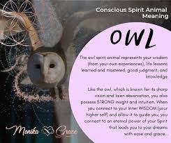 Spirit Animal Meaning The Wise Owl Spirit Animal Meaning Owl Spirit Animal Owl Spirit Animal Meaning