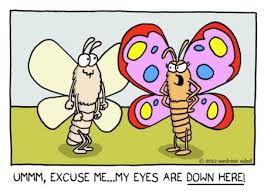 Moth Pervert By Sardonic Salad Nature Cartoon Toonpool Most relevant best selling latest uploads. moth pervert by sardonic salad nature