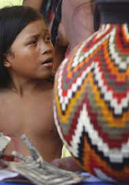 Protection of biocultural property of indigenous communities: A comparative  overview of 9 countries around the globe