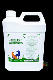 Image result for Aloe canis