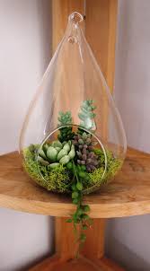 Artificial Succulent Terrarium In A 5 Hanging Glass Vase Succulent Terrarium Artificial Succulents Succulent Arrangements Glass