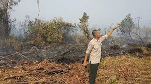 Siswi diperkosa 2 teman sekolah setelah dicekoki miras, direkam siswi lain, video disebar di sosmed. Bpbd Klaim Kebakaran Di Dekat Smpn 3 Dan Rsud Kayong Utara Sudah Padam Tribun Pontianak