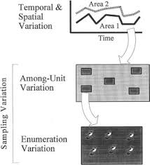 Sample size calculation with simple random sampling. Simple Random Sample An Overview Sciencedirect Topics