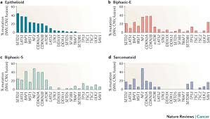 Each year in australia, between 700 and 800 people are diagnosed with the rare and aggressive cancer. Novel Insights Into Mesothelioma Biology And Implications For Therapy Nature Reviews Cancer