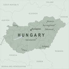 Weitbf hungary desk flag small mini hungarian office table flag with stand base,hungarian themed party decorations celebration event,2 pack. Hungary Traveler View Travelers Health Cdc