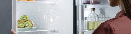 What Temperature Should A Fridge & Freezer Be? | Choice