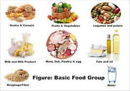 Resultado de imagen de food groups