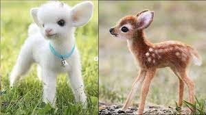 Cute Baby Animals Videos Compilation Cute Moment Of The Animals Cutest Animals 1 Youtube Baby Animals Real Baby Animals Cute Baby Animals