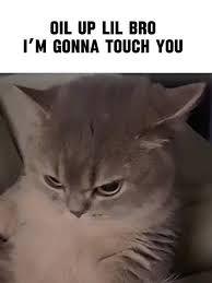 If I Say Oil Up Lil Bro I Mean Oil Up Lil Bro | TikTok