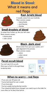 Image result for blood in stool human poop