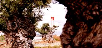 The préstamo ganador offers you: About Us Santander Consumer Finance Auto Finance Consumer Loans