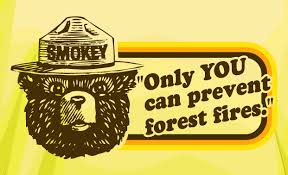 Forest service and must be associated with a message of fire prevention. Only You Can Prevent Forest Fires Pumpkin Spice Latte Introverts Dealing With Aggressive Drivers The Real Brian Show