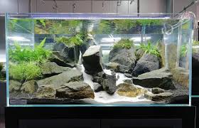 Keep ponds running with aquascape shop now and save at webb's online Aquascaping Is An Art To Learn More About Aquascaping Check Out The Aquarium Guide Aquarium Aquascape Aquarium Landscape