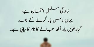 Means life of my poetry but is considered an exalted appreciation and totally lost in translation). 20 Urdu Quotes About Success And Struggle