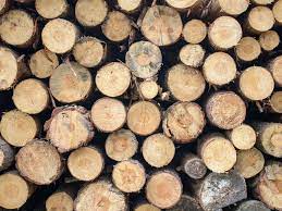 View photos of the 41 condos and apartments listed for sale in yuma az. New Free Firewood Area Open West Of Flagstaff Forest Service Says Local Azdailysun Com