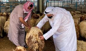 El hijra (islamic new year) this holiday is celebrated on the first day of muharram. Eircskao2uunum