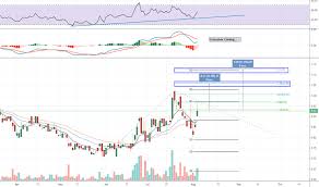 Pzg Stock Price And Chart Amex Pzg Tradingview