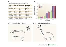 Apache camel is a powerful open source integration framework based on known enterprise integration patterns with powerful bean integration. The Parallel Distributed Processing Approach To Semantic Cognition Nature Reviews Neuroscience