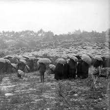 The Miracle of Fatima - The Rosary Rally