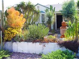 We did not find results for: Landscaping With Succulents Landscaping Network