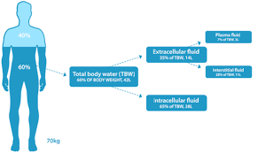 It represents over half of normal healthy range of body fat & total body water percentage for those using athlete. Water And Hydration Physiological Basis In Adults Hydration For Health