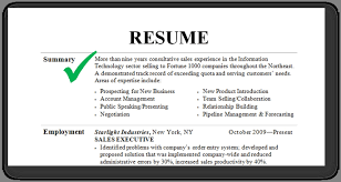 How To Write A Professional Profile Resume Genius Summary Examples ...