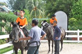 Taman tasik shah alam , apa aktiviti menarik ? Rekreasi Berkuda Di Taman Tasik Titiwangsa Mynewshub