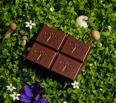 wonderland mushroom bars​ USA