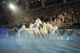 Prmdeal.com for you to collect all the coupons on the olympia horse show website! Olympia London Horse Show 2015 London Airport Transfers