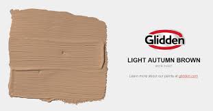 Modern Light Brown Paint Color Best Idea On With For Living