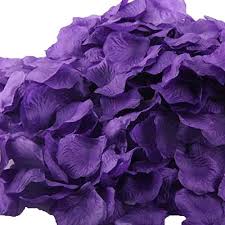 We are a real, working flower shop on the westside of houston. Uge 4000 Pcs Artificial Silk Rose Petals Carpet Flowers Bulk For Wedding Favor Party Decoration Purple Buy Online In Bahamas At Bahamas Desertcart Com Productid 9240172