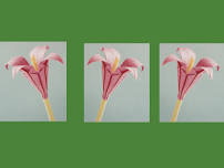 Floral Origami Bouquet