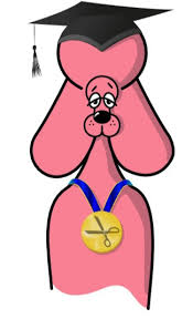 Bathing, scissoring, hand stripping specialising in poodles, afghans, drop coats and doodles , open view relaxed salon and specialise in nervous dogs all staff fully qualified with icmg and city &guilds and insured my self being an international certified master groomer and one of the. Icmg Education Ltd Approved Grooming Schools