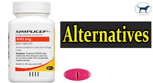 Cefpodoxime proxetil are used to treat skin infections (abscesses and wounds) in dogs. Alternative To Simplicef For Dogs Cefpodoxime Alternatives