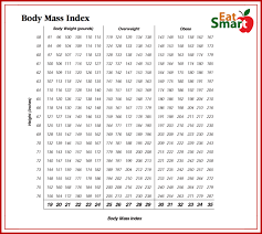 bmi vs body fat percentages what you need to know and how