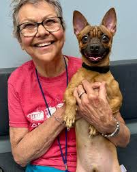 City of Buffalo Animal...