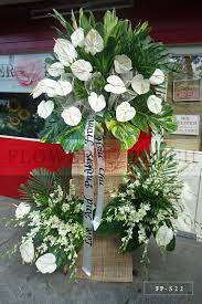We did not find results for: Standing Arrangement Of White Anthuriums Orchids And Tuberoses Sympathy Funeral Flowers Flower Patch Online Flower Delivery Phillippines