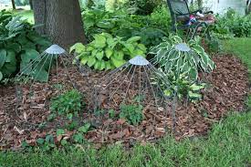 Check spelling or type a new query. An Easy Way To Protect Plants From Rabbits And Deer My Northern Garden