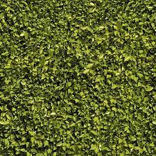 Fliepaper 2 Green Wallpaper Wall Texture Design Grass Textures