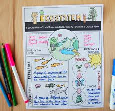 Ecosystem Review Worksheet Students Draw The Concepts And Write The Definitions Science Classroom Teaching Ecosystems Ecosystems All of these climate drawing ecosystem resources are for free download on yawd. ecosystem review worksheet students