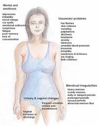 Pin On Exploring Menopause