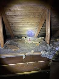 Image result for site:byggahus.se rötskada