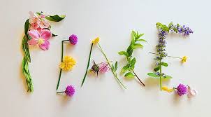 Maybe you would like to learn more about one of these? Peace Flower Power Flower Meanings Flower Quotes Flower Words